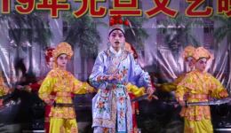 巡营