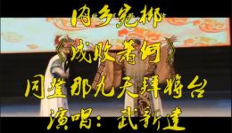 内乡宛梆《成败萧何》选段,武新建倾情演唱,经典唱腔重现楚汉风云 内乡宛梆《成败萧何》选段,武新建倾情演唱,经典唱腔重现楚汉风云