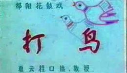 邵阳花鼓戏《打鸟》高清下载雷沛林李明珍主演经典戏曲资源下载