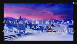 邵阳花鼓戏《湘子服药·药川》赵凤仙精彩演绎,经典戏曲在线观看下载 邵阳花鼓戏《湘子服药·药川》赵凤仙精彩演绎,经典戏曲在线观看下载