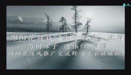 邵阳花鼓戏《湘子服药·药川垛子》唐伟红主演 经典民间故事戏曲资源下载 邵阳花鼓戏《湘子服药·药川垛子》唐伟红主演 经典民间故事戏曲资源下载