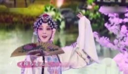 昆曲《牡丹亭》精彩片段下载魏春荣刘大馨演绎，领略古典爱情绝美风华下载