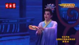 歌仔戏《良宵》庄海蓉苏燕蓉主演，经典戏曲作品在线下载下载