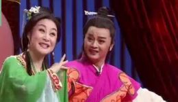 黄梅戏《孔雀东南飞》选段下载赵媛媛董家林经典演唱，感受传统戏曲魅力下载