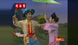 柳琴戏《走娘家》王晓红演唱,经典戏曲片段在线观看下载 柳琴戏《走娘家》王晓红演唱,经典戏曲片段在线观看下载