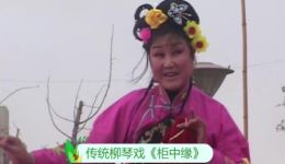 经典柳琴戏《柜中缘》在线观看下载 - 传统戏曲资源大全