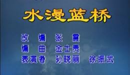东北二人转经典《水漫蓝桥》高清mp4视频下载，孙晓丽徐振武精彩演绎下载