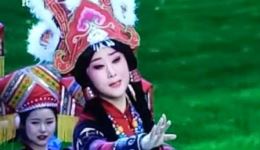 官鹅情歌
