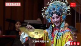 昆曲《长生殿·惊变》邵天帅精彩演绎,经典片段高清呈现 昆曲《长生殿·惊变》邵天帅精彩演绎,经典片段高清呈现