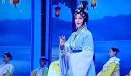 蝴蝶梦