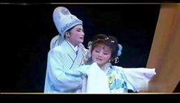 越剧《情探》送别选段 董鉴鸿张宇峰倾情演绎 经典戏曲在线下载下载