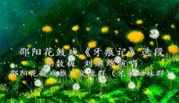 牙痕记·北数板