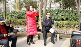 河南唢呐吹奏豫剧《听罢奶奶说红灯》经典唱段下载，传承革命精神戏曲资源