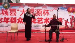 坠子戏《龙三姐拜寿》姚金燕演唱,经典河南坠子戏曲在线下载 坠子戏《龙三姐拜寿》姚金燕演唱,经典河南坠子戏曲在线下载