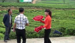 贵州花灯经典《绣鸳鸯》在线观看下载,民间爱情题材戏曲资源一站式获取 贵州花灯经典《绣鸳鸯》在线观看下载,民间爱情题材戏曲资源一站式获取