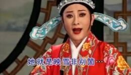洞房会映雪