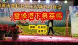 雷锋塔下祭慈帏