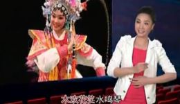 林丽丽潮剧《可叹宫闱深似海》选段下载，《弓箭峰》经典潮剧选段资源下载