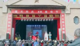 淘金案