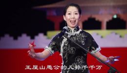 河洛大鼓《唱河南》王金红演唱 - 正宗河洛大鼓戏曲资源下载 河洛大鼓《唱河南》王金红演唱 - 正宗河洛大鼓戏曲资源下载