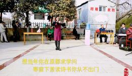 曲剧《秦香莲》选段下载经典唱段呈现悲情故事,戏曲爱好者必收藏 曲剧《秦香莲》选段下载经典唱段呈现悲情故事,戏曲爱好者必收藏