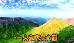 贵州山歌《一人在家无心情》黄林艾琳深情对唱，打工离别情愁全收录下载