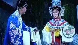 谢瑶环