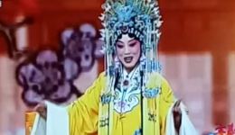晋剧经典《打金枝》杨丽丽精彩片段在线观看，高清戏曲资源下载