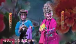 评剧《花为媒》选段下载徐金仙等名家经典演绎，高清资源速取下载