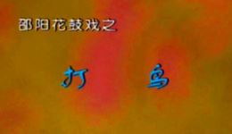 邵阳花鼓戏《打鸟》张求荣艾小玲赵娅兰主演MP3音频下载，43分钟完整戏曲资源下载