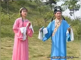 棒打鸳鸯