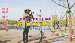 你家在哪里