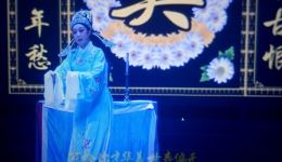 扬剧《珠凤缘》第6场选段下载｜扬州市秦淮扬剧团正版演出资源