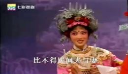 越剧《打金枝》选段在线观看 张咏梅韩婷婷精彩演唱下载