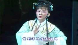 风雪渔樵·愿伴青山共白头