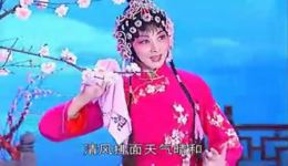 送香茶