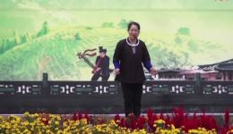 侗戏《善待老人莫贪心》高清资源下载｜经典伦理题材戏曲在线观看
