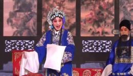 河北梆子《蝴蝶杯》经典唱段听罢言不由人笑容满面在线下载