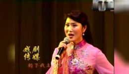 河北梆子《三娘教子》选段名家经典演绎，戏曲艺术瑰宝在线聆听