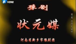状元媒
