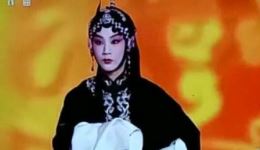 评剧《秦香莲》片段在线观看，张利婷精彩演绎，经典唱段不容错过