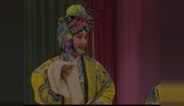 豫剧《打金枝》胡小凤主演 东风剧团经典演绎 在线观看下载下载