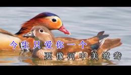哥约幺妹去赶场