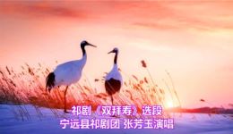 双拜寿