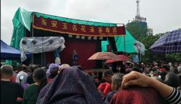 南瓜记