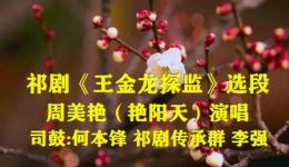王金龙探监