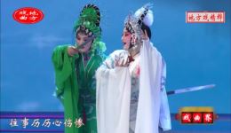 婺剧经典《白蛇传·断桥》陈丽莉杨霞云楼胜联袂演绎，粗犷明快演绎断桥情殇下载