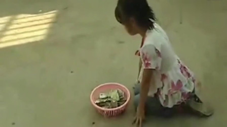 毒蛇婿