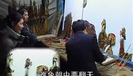 妲己参政