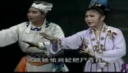 二人转正戏《李国母告状》郑淑云徐振武主演，讲述冤屈昭雪精彩剧情，戏曲下载首选下载